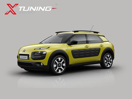 C4 Cactus